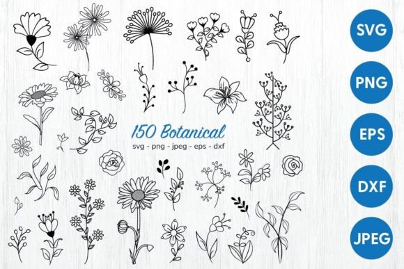 Botanical Flowers SVG: Elegant Graphics & Illustrations