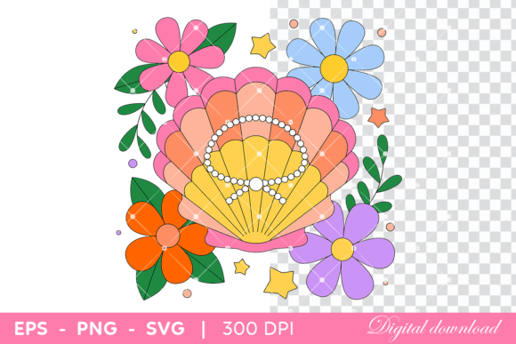 Colorful Seashell Graphics & Illustrations Review