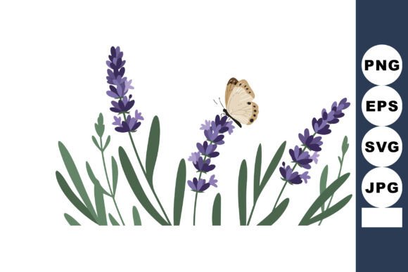 Lavender Flowers with Butterfly Sitting: Graphics & Illustrations