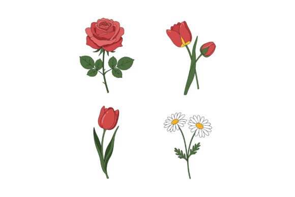 Red Rose & Tulip Graphics: Fresh Illustrations