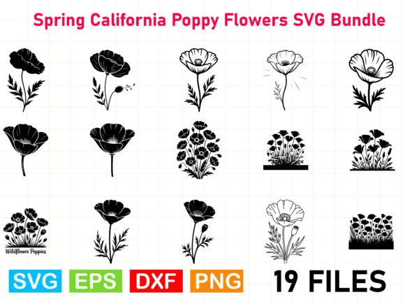 Spring California Poppy SVG: Graphics & Illustrations