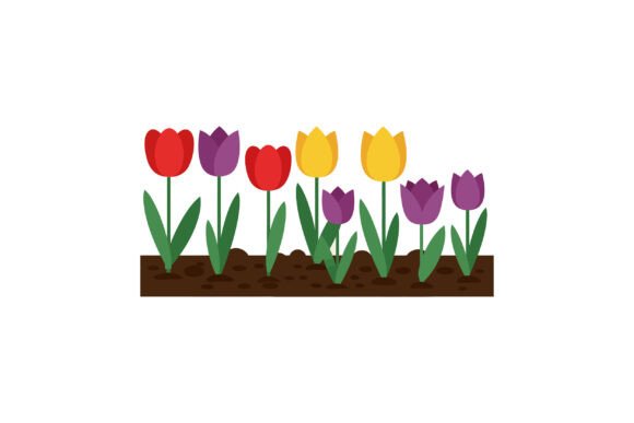 Tulip Flowers Garden Bed Graphics & Illustrations